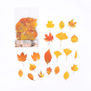 40 pcs Autumn Leaves stickers